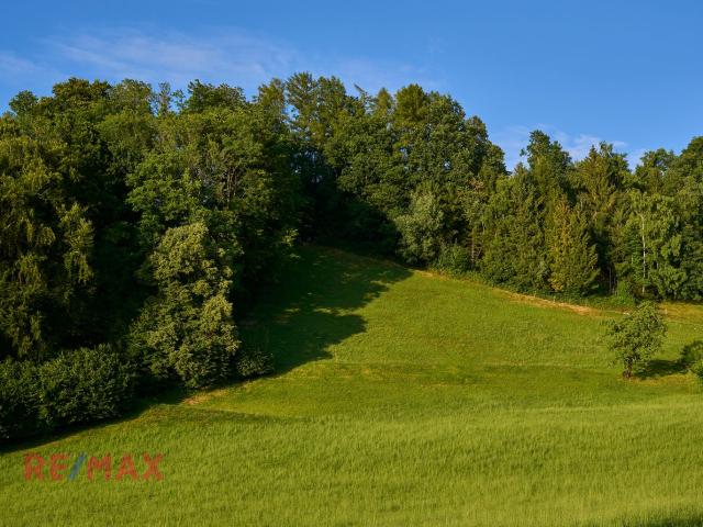 Grundstück kaufen in Lochau, Vorarlberg