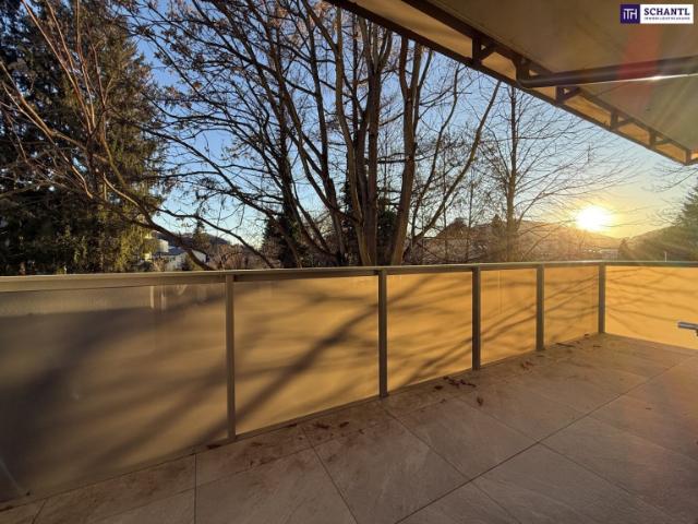 Wohnung kaufen in Zösenberg, Weinitzen