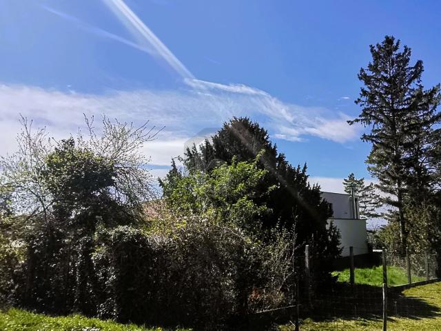 Grundstück kaufen in Mannersdorf am Leithagebirge, Niederösterreich