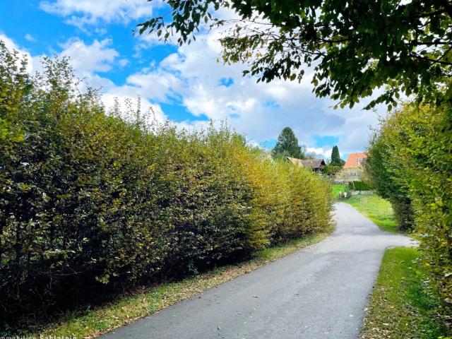 Grundstück kaufen in Hitzendorf, Steiermark