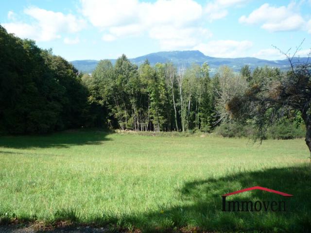 Grundstück kaufen in Kumberg, Steiermark