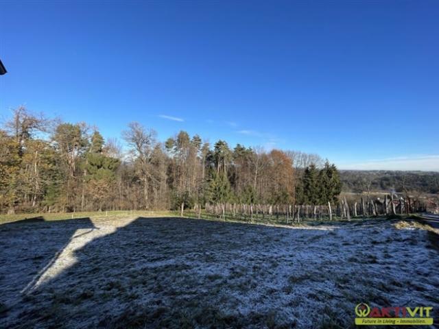 Grundstück kaufen in St. Stefan ob Stainz, Steiermark