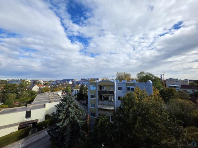 Wohnung kaufen in Wiener Neustadt, Niederösterreich