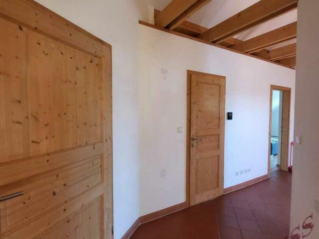 Haus kaufen in Wimpassing an der Leitha, Burgenland