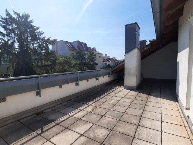 Apartment mieten in Schwechat, Groß-Schwechat