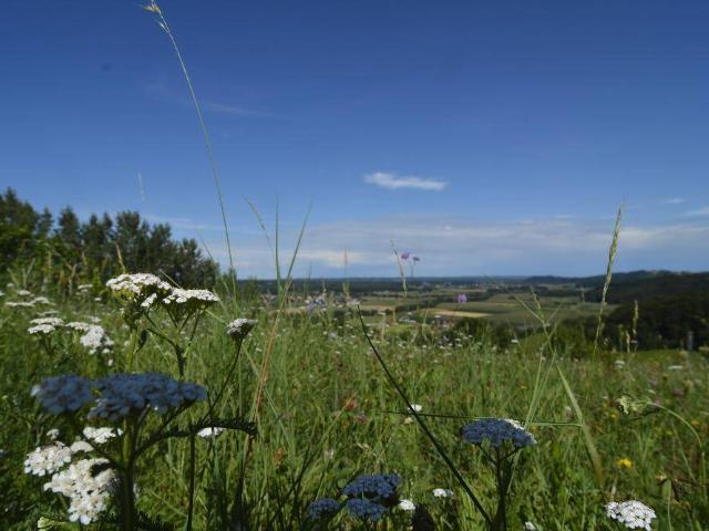 Haus kaufen in Bad Waltersdorf, Steiermark