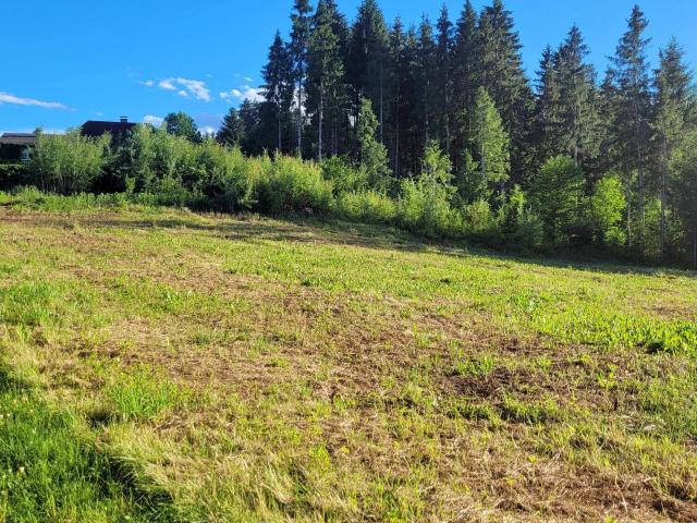 Immobilie kaufen in Göriach, Kärnten