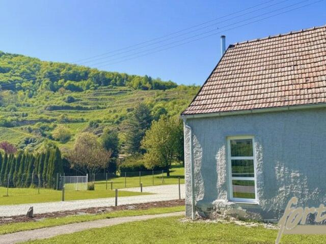 Einfamilienhaus kaufen in Krems an der Donau, Niederösterreich