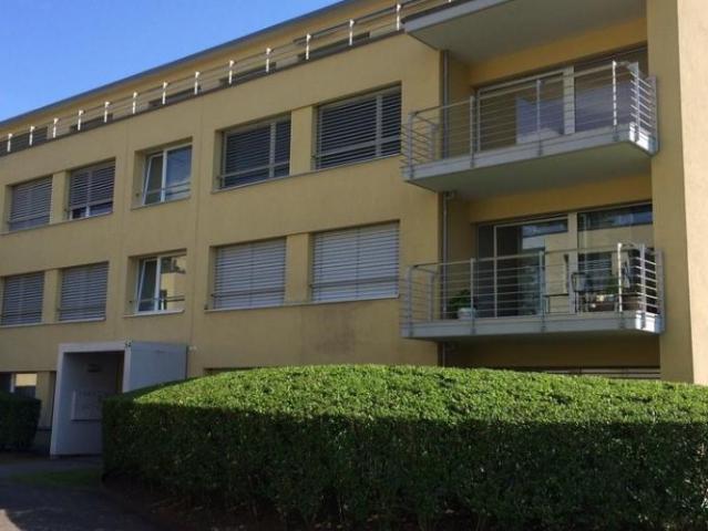Apartment mieten in Wädenswil, Zürich