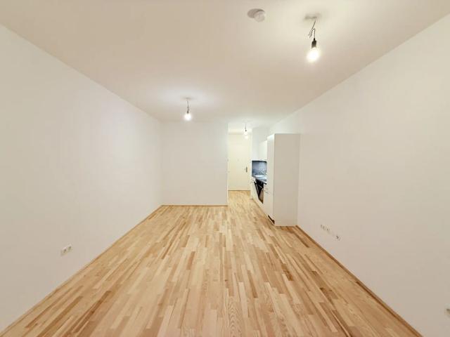 Apartment mieten in KG Hütteldorf, Wien