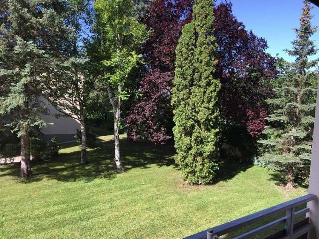 Apartment mieten in Baden, Niederösterreich