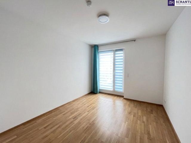 Wohnung mieten in Seestadt, Wien