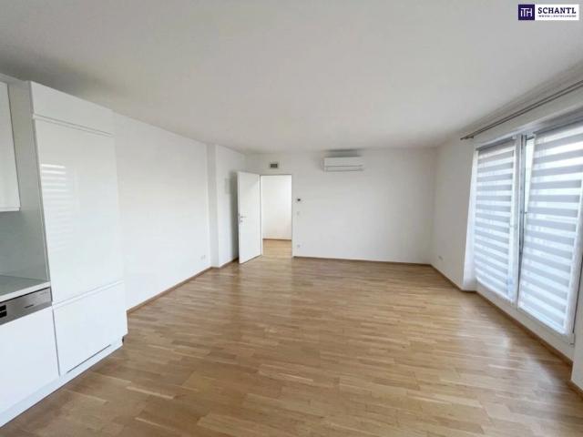 Apartment mieten in Donaustadt, Wien