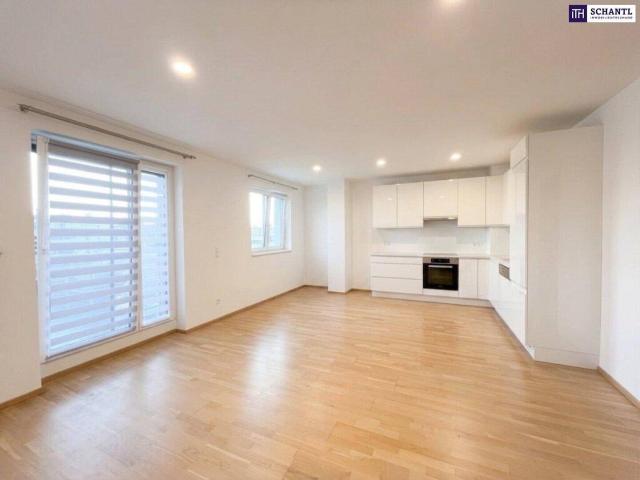 Apartment mieten in Donaustadt, Wien