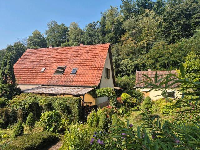 Haus kaufen in Lambrecht, Rheinland-Pfalz