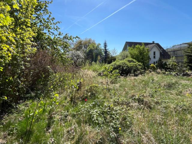 Erdgeschosswohnung kaufen in Berlin