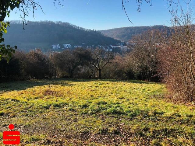 Erdgeschosswohnung kaufen in Amrichshausen, Künzelsau