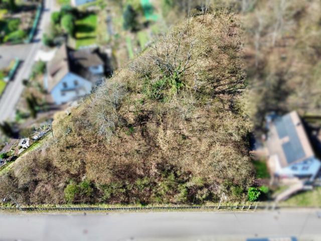 Erdgeschosswohnung kaufen in Ramberg, Rheinland-Pfalz