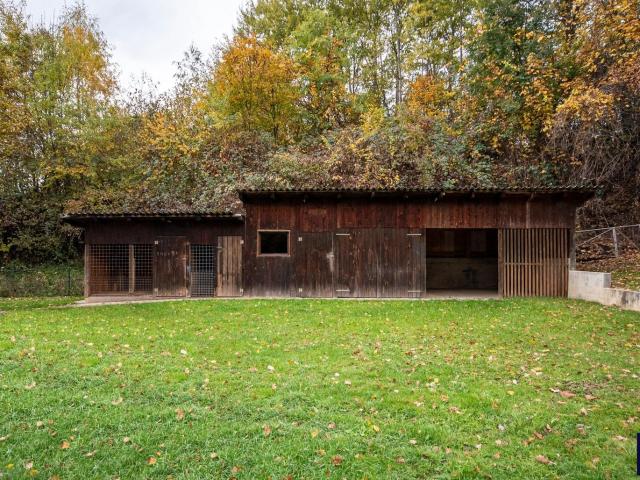 Haus kaufen in Wiesfleck, Burgenland