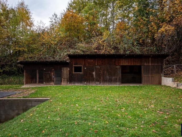 Haus kaufen in Wiesfleck, Burgenland