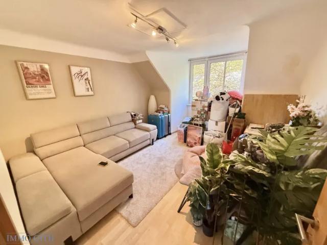 Apartment mieten in Schöffelstadt, Mödling
