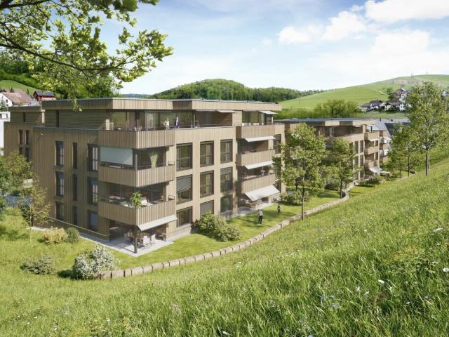 Wohnung kaufen in Niederdorf, Basel-Landschaft