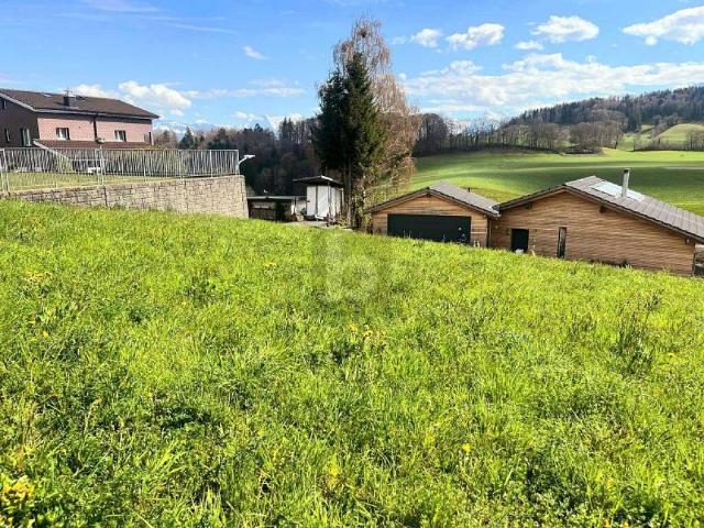 Immobilie kaufen in Riggisberg, Bern