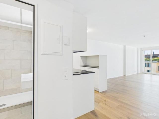 Apartment mieten in Neustadt, Luzern