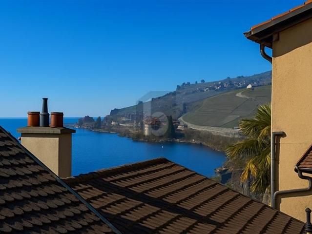 Reihenfamilienhaus kaufen in Saint-Saphorin (Lavaux), Waadt