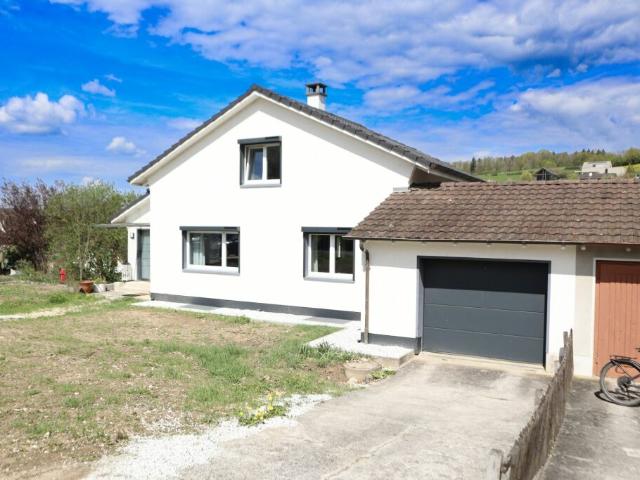 Einfamilienhaus kaufen in Arisdorf, Basel-Landschaft