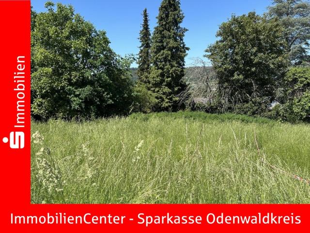 Erdgeschosswohnung kaufen in Höchst, Hessen