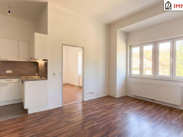 Apartment mieten in Katastralgemeinde Hinterbrühl, Hinterbrühl