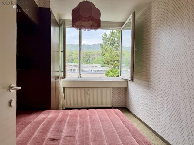 Wohnung kaufen in Bad Vöslau, Bezirk Baden