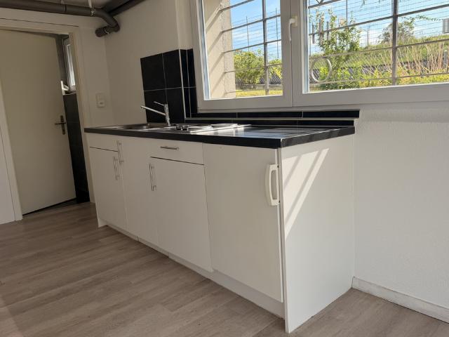 Apartment mieten in Mühlefeld / Champ-du-Moulin, Biel/Bienne