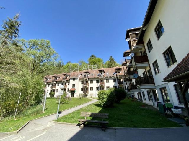 Apartment mieten in Eisbach, Steiermark