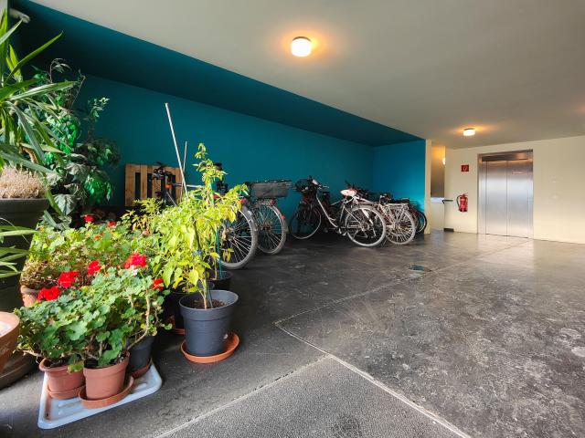 Etagenwohnung mieten in Wien