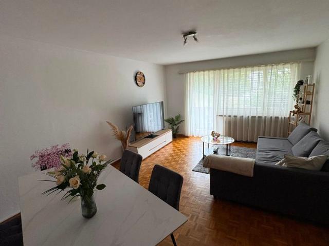 Apartment mieten in Steinmaur, Bezirk Dielsdorf