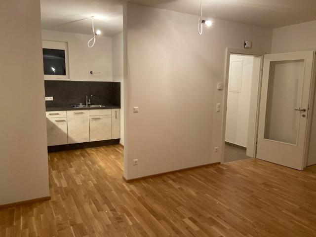 Apartment mieten in Liebenau, Gersdorf-Feistritz