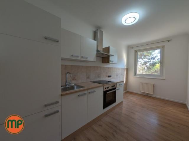 Wohnung mieten in Neukettenhof, Schwechat