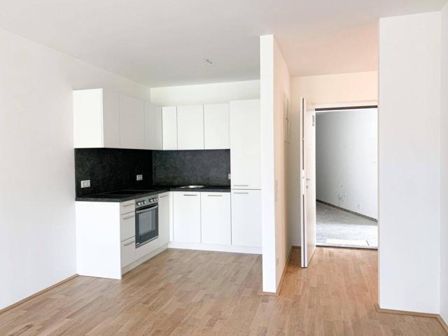 Apartment mieten in Donaustadt, Wien