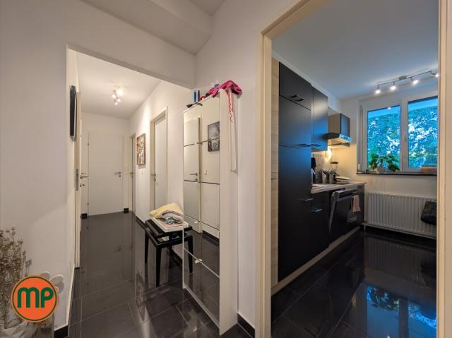 Wohnung mieten in Langenzersdorf, Bezirk Korneuburg