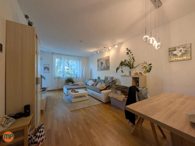 Apartment mieten in Katastralgemeinde Langenzersdorf, Langenzersdorf
