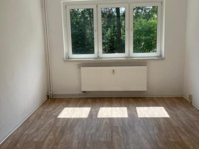 Apartment mieten in Uhyst (Spree) - Delni Wujězd, Boxberg/O.L. - Hamor