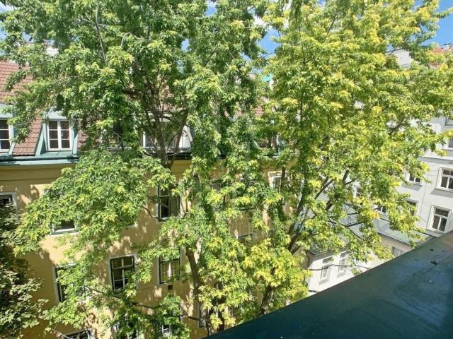 Wohnung mieten in Josefstadt, Wien