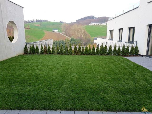 Apartment kaufen in Steyregg, Oberösterreich