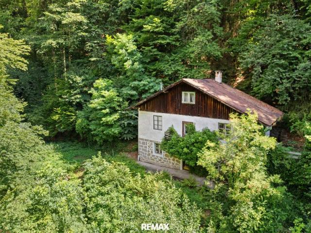 Haus kaufen in Linz, Oberösterreich