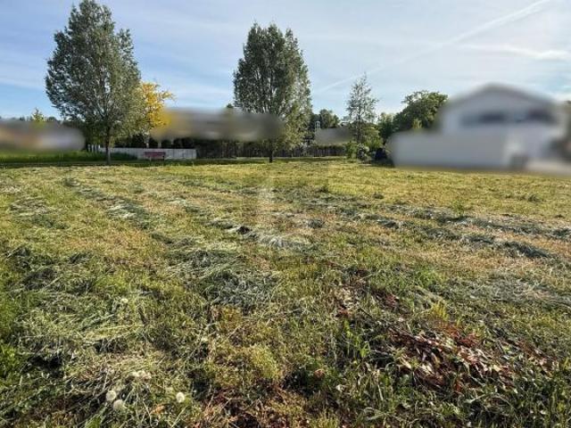 Erdgeschosswohnung kaufen in Hohberg, Baden-Württemberg