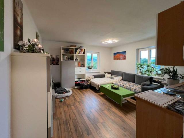 Etagenwohnung mieten in Vöcklabruck