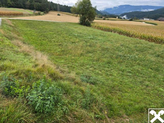 Grundstück kaufen in Ruden, Kärnten