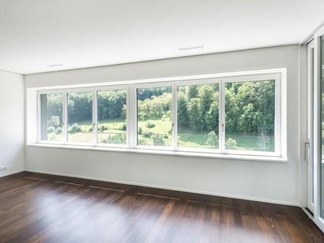 Apartment mieten in Allmend, Baden